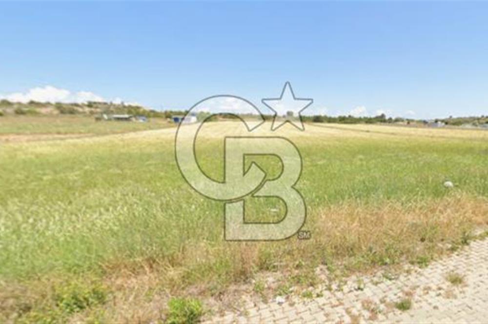 Çeşme Çiftlikköy’de Denize 200 m, Pırlanta Plajına 500 m Mesafede 1.000 m² Hisseli Arsa