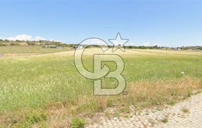 Çeşme Çiftlikköy’de Denize 200 m, Pırlanta Plajına 500 m Mesafede 1.000 m² Hisseli Arsa