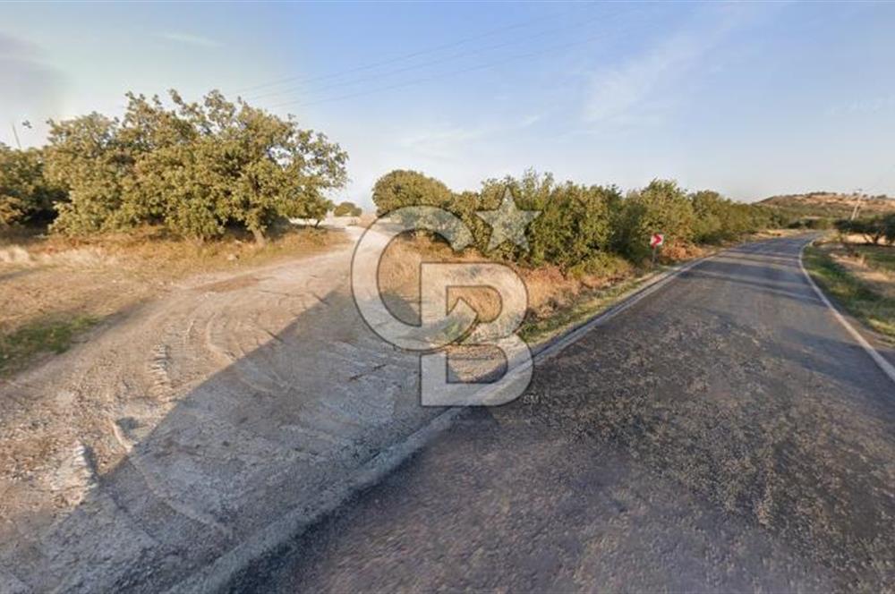 Çanakkale Ezine Alemşah'Da Denize 150 Metre Mesafede 291 m2 Arsa
