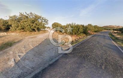 Çanakkale Ezine Alemşah'Da Denize 150 Metre Mesafede 291 m2 Arsa
