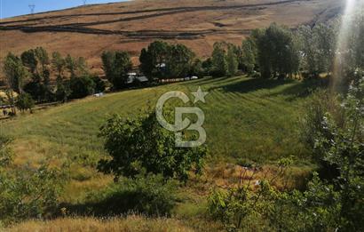 VANGÖLÜNE BAKAN SÜPER ARSA