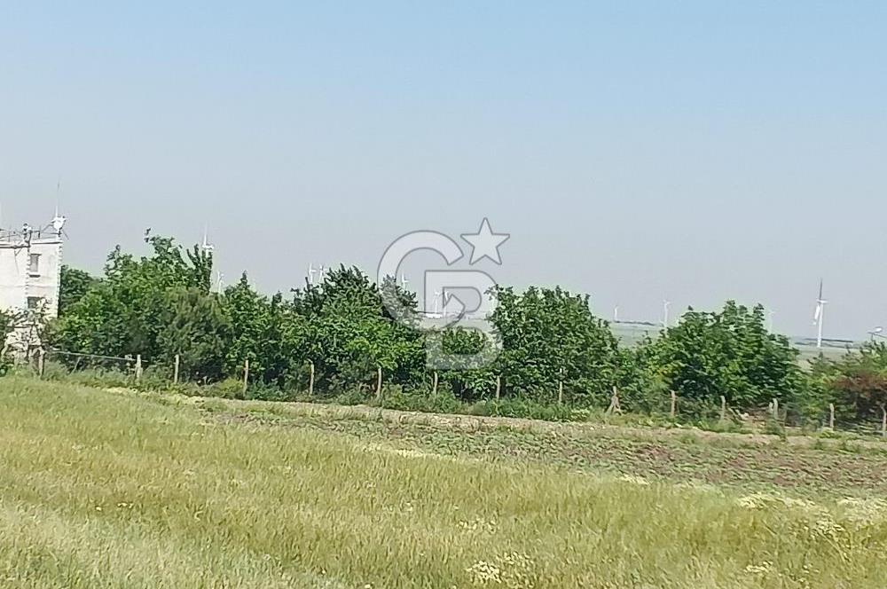 Silivri kadıköy hobi bahçesi