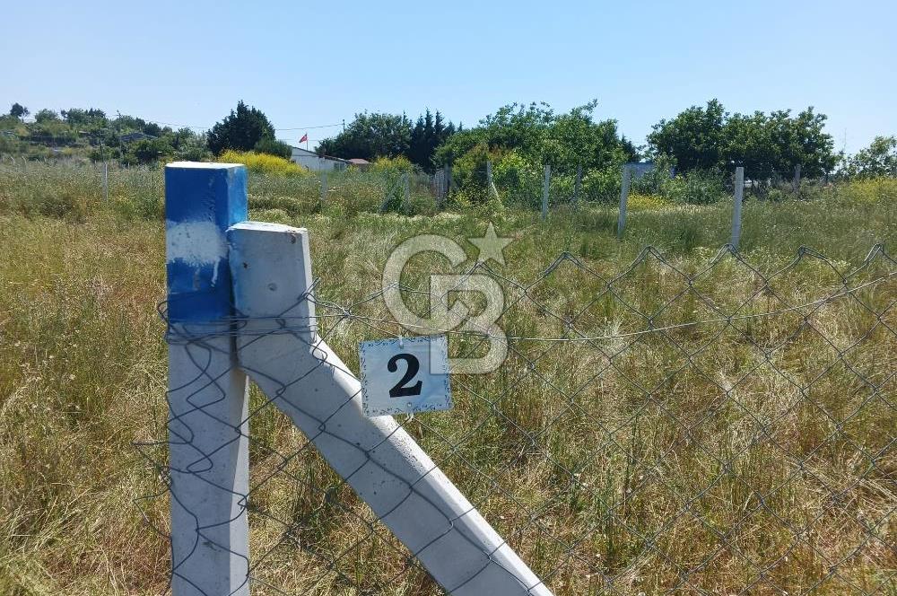Silivri kadıköy hobi bahçesi
