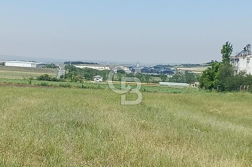 Silivri kadıköy hobi bahçesi
