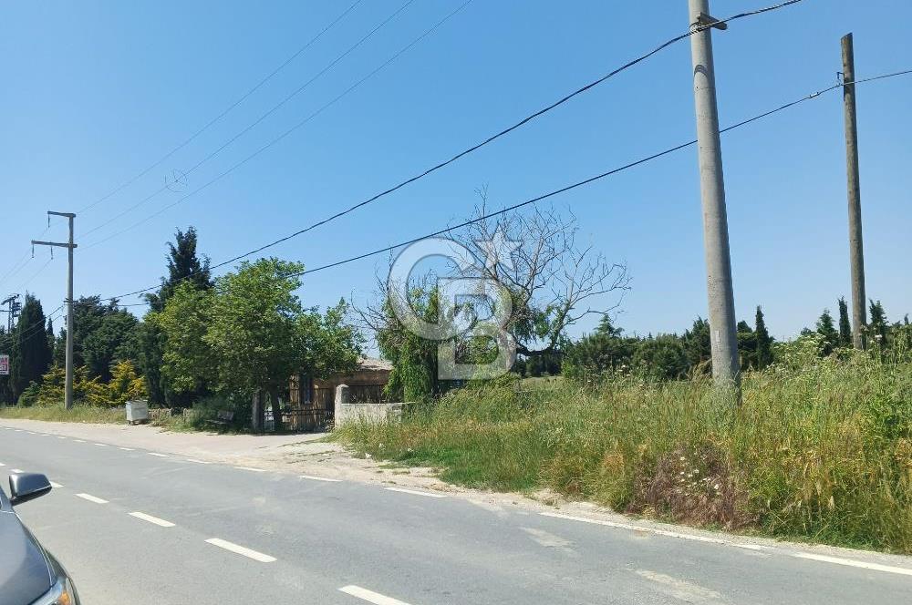 Silivri kadıköy hobi bahçesi