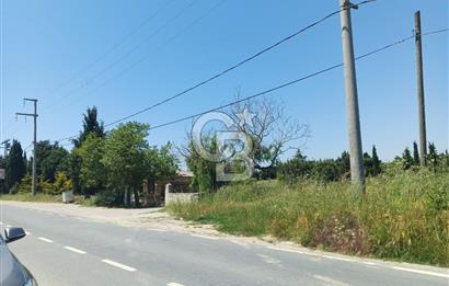 Silivri kadıköy hobi bahçesi