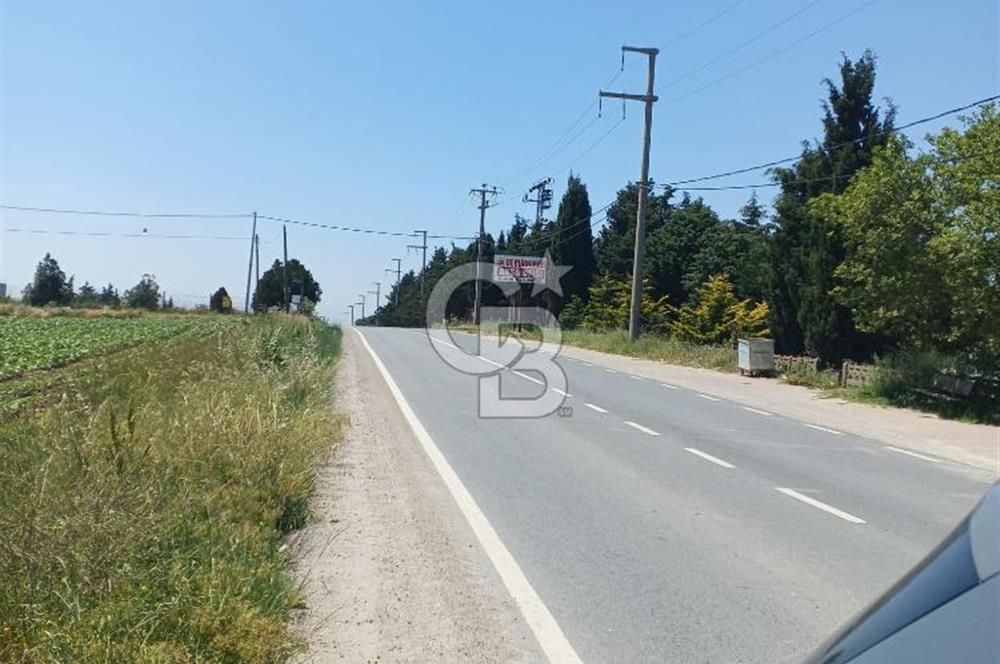 Silivri kadıköy hobi bahçesi