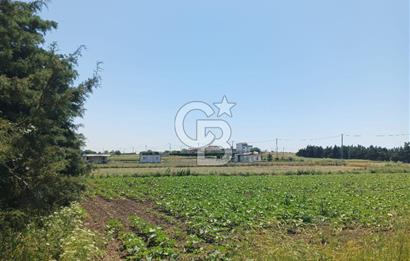 Silivri kadıköy hobi bahçesi