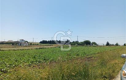 Silivri kadıköy hobi bahçesi