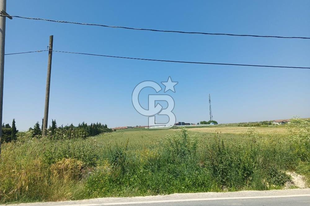Silivri kadıköy hobi bahçesi