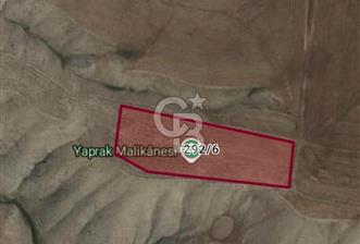BALA/ YÖRELİ MAH'DE SATILIK UYGUN FİYAT TEK TAPU TARLA