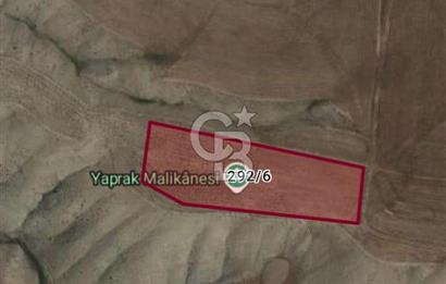 BALA/ YÖRELİ MAH'DE SATILIK UYGUN FİYAT TEK TAPU TARLA