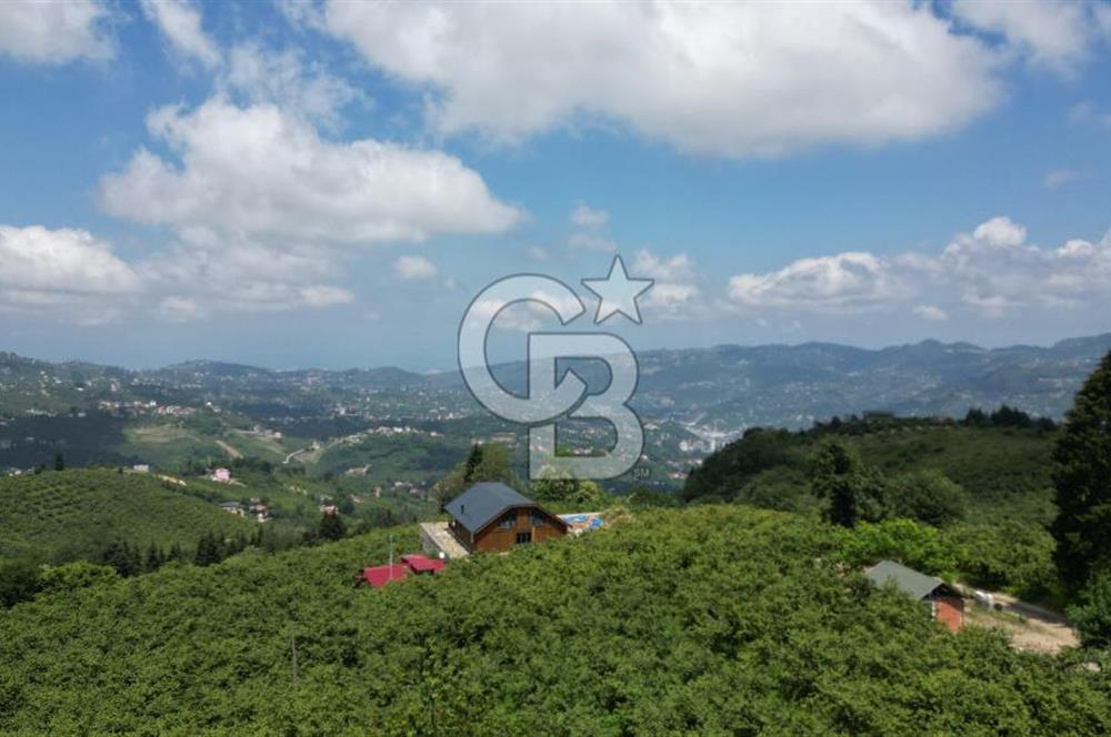 TRABZON ORTAHİSAR KAMIŞLI'DA SATILIK 2 PARSEL