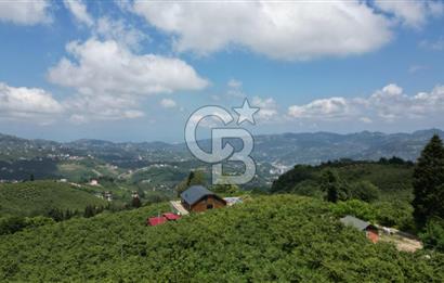 TRABZON ORTAHİSAR KAMIŞLI'DA SATILIK 2 PARSEL
