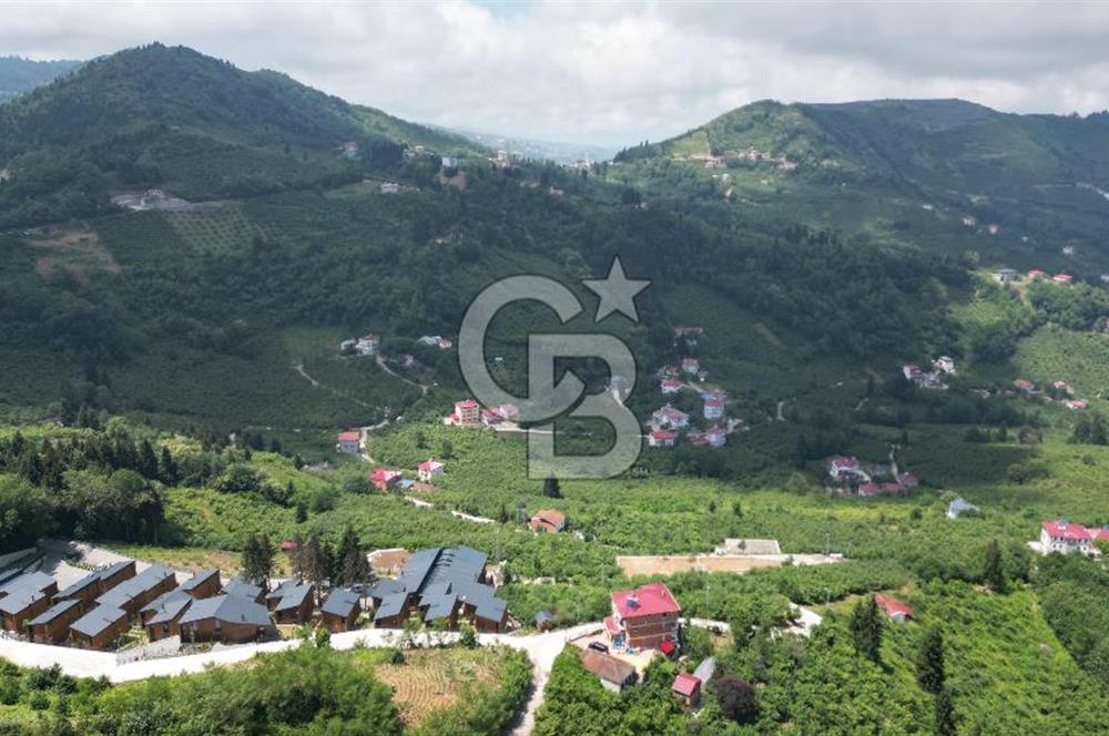 TRABZON ORTAHİSAR KAMIŞLI'DA SATILIK 2 PARSEL