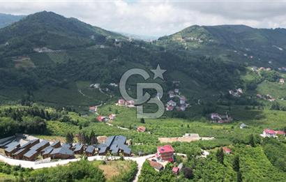 TRABZON ORTAHİSAR KAMIŞLI'DA SATILIK 2 PARSEL