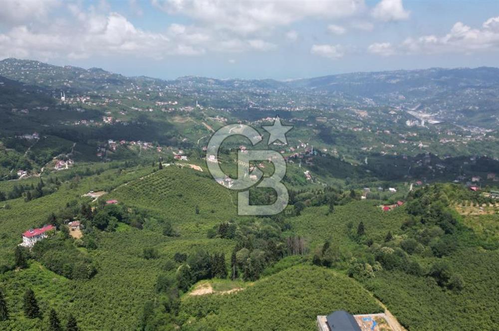 TRABZON ORTAHİSAR KAMIŞLI'DA SATILIK 2 PARSEL