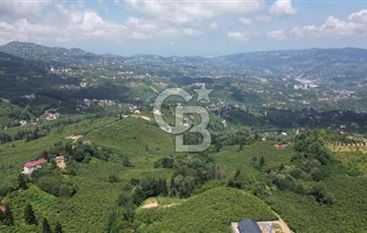 TRABZON ORTAHİSAR KAMIŞLI'DA SATILIK 2 PARSEL