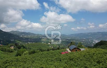 TRABZON ORTAHİSAR KAMIŞLI'DA SATILIK 2 PARSEL