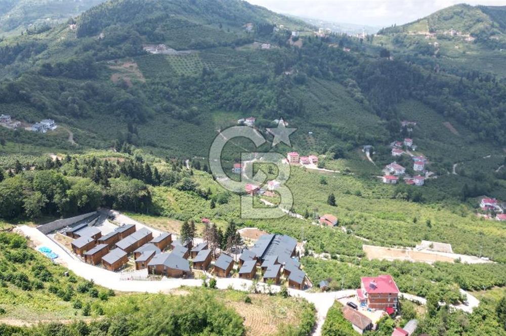 TRABZON ORTAHİSAR KAMIŞLI'DA SATILIK 2 PARSEL