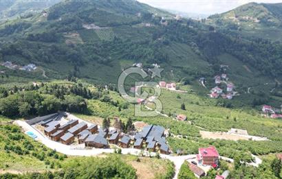 TRABZON ORTAHİSAR KAMIŞLI'DA SATILIK 2 PARSEL