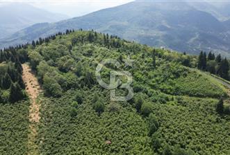TRABZON ORTAHİSAR KAMIŞLI'DA SATILIK 2 PARSEL
