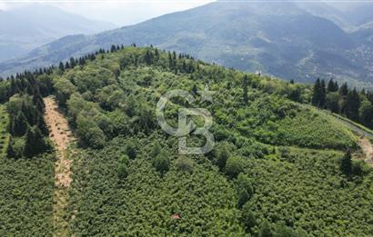 TRABZON ORTAHİSAR KAMIŞLI'DA SATILIK 2 PARSEL