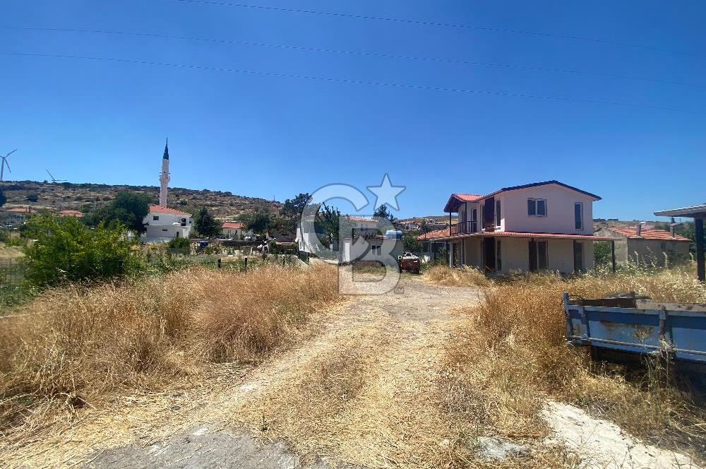 Urla Zeytineli Köyünde Satılık Tarla Köy İçi İmarı Var
