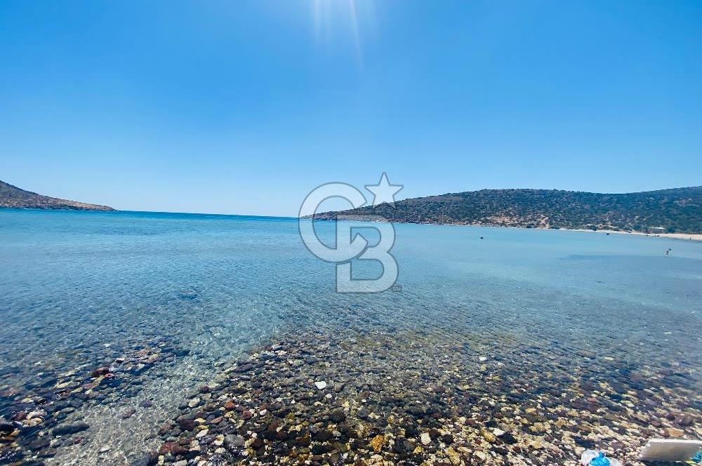 Urla Zeytineli Köyünde Satılık Tarla Köy İçi İmarı Var
