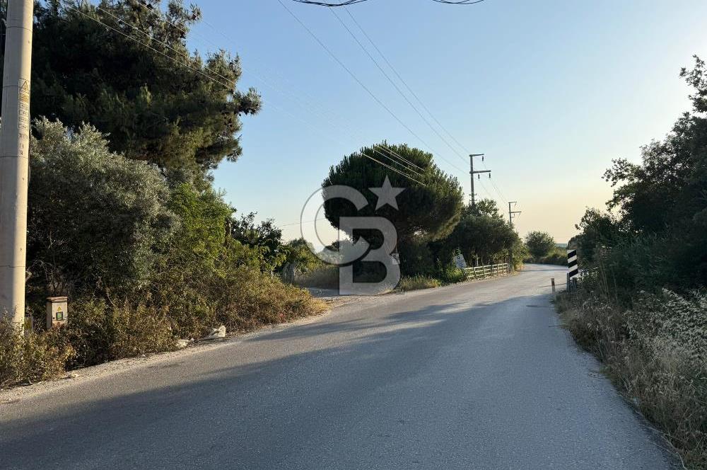 Torbalı Gazi Mustafa Kemal’de Satılık Tarla 