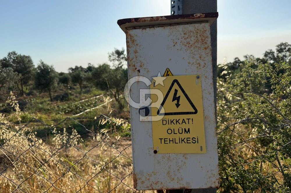 Torbalı Gazi Mustafa Kemal’de Satılık Tarla 