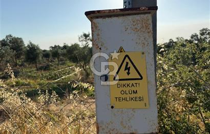 Torbalı Gazi Mustafa Kemal’de Satılık Tarla 