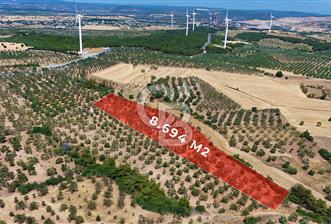 Çanakkale Ezine Üvecik Köyünde 8.694 M2 Tarla !