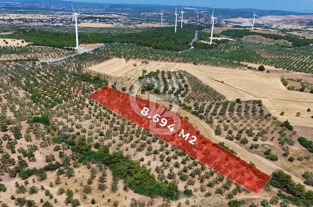 Çanakkale Ezine Üvecik Köyünde 8.694 M2 Tarla !