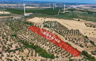 Çanakkale Ezine Üvecik Köyünde 8.694 M2 Tarla !