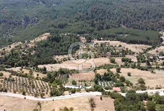  CB GİZ'DEN KAŞ HACIOĞLAN MAHALLESİN'DE TAŞ DUVARLI EV VE TARLA .