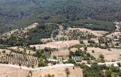  CB GİZ'DEN KAŞ HACIOĞLAN MAHALLESİN'DE TAŞ DUVARLI EV VE TARLA .