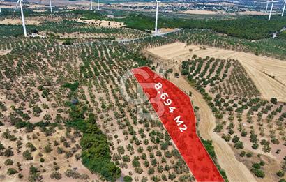 Çanakkale Ezine Üvecik Köyünde 8.694 M2 Tarla !