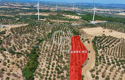 Çanakkale Ezine Üvecik Köyünde 8.694 M2 Tarla !