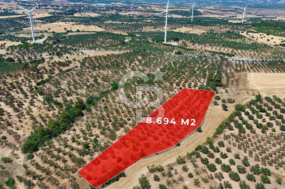 Çanakkale Ezine Üvecik Köyünde 8.694 M2 Tarla !