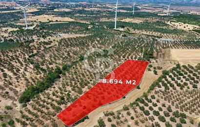 Çanakkale Ezine Üvecik Köyünde 8.694 M2 Tarla !