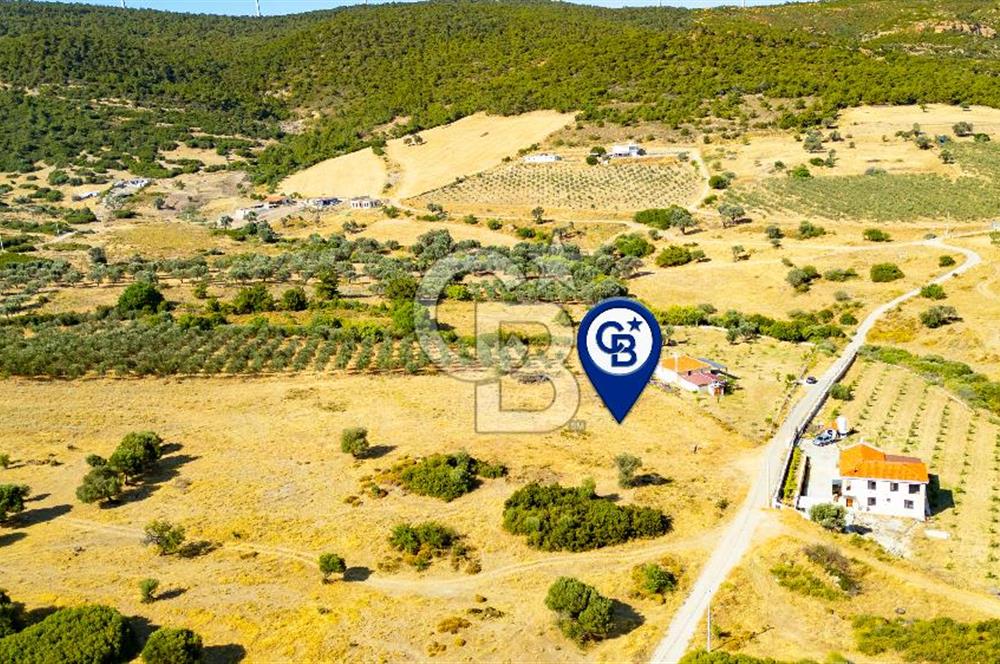 Foça Kocamehmetlerde Satılık 781 m2 Tarla