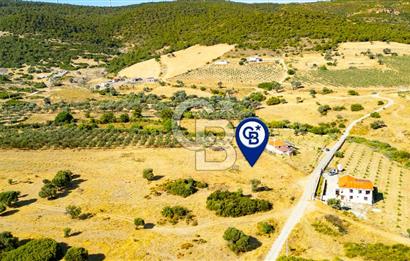 Foça Kocamehmetlerde Satılık 781 m2 Tarla