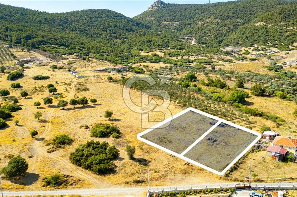 Foça Kocamehmetler'de Satılık 781 m2 Tarla