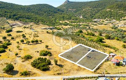 Foça Kocamehmetler'de Satılık 781 m2 Tarla