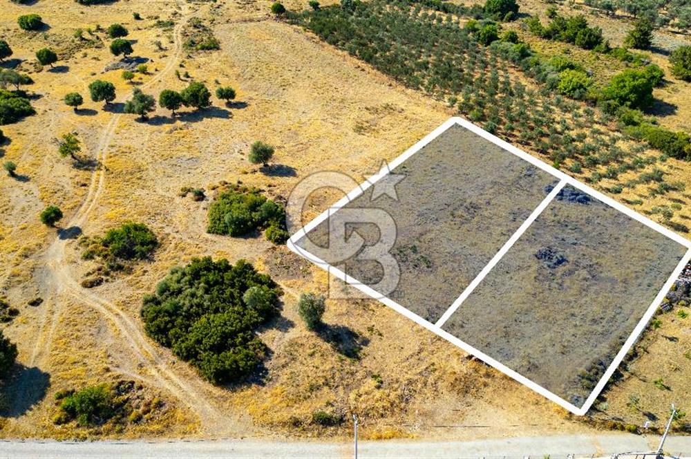 Foça Kocamehmetler'de Satılık 781 m2 Tarla
