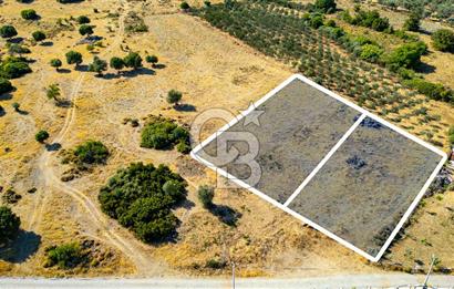 Foça Kocamehmetler'de Satılık 781 m2 Tarla