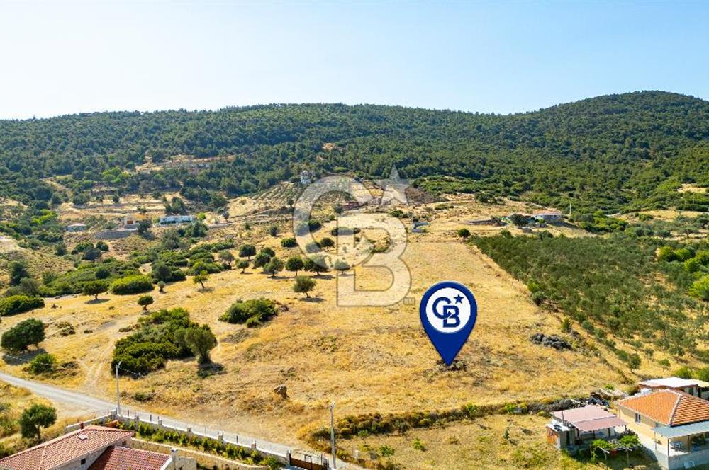 Foça Kocamehmetler'de Satılık 781 m2 Tarla