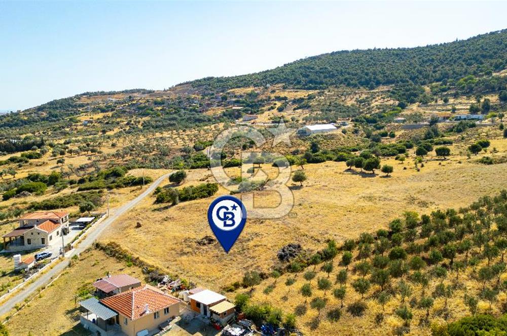 Foça Kocamehmetlerde Satılık 781 m2 Tarla