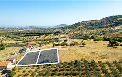 Foça Kocamehmetlerde Satılık 781 m2 Tarla